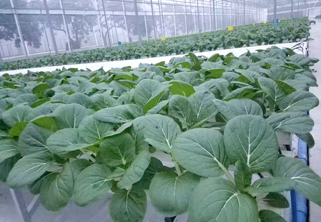 一家優秀的食堂承包公司，需要具備哪些條件