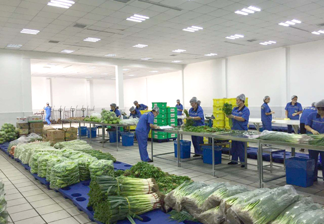 企業(yè)和工廠(chǎng)食堂有效降低員工飯?zhí)贸邪少?gòu)成本 